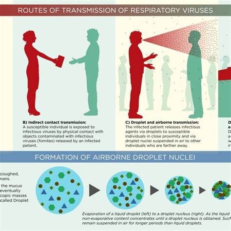 Close Contact Transmission