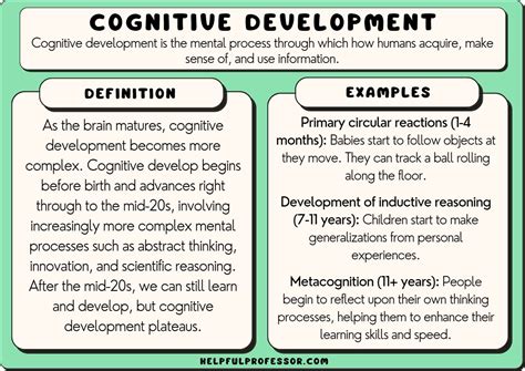 Cognitive Development