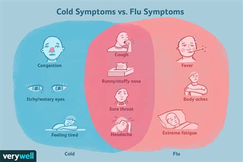 Cold Symptoms Overview
