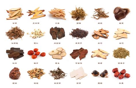 Common Chinese Herbal Drugs