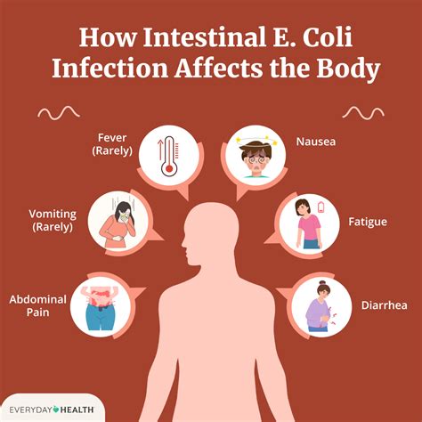 Common E. coli Symptoms