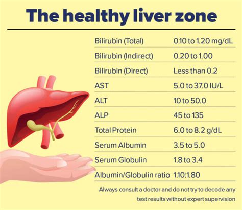 Common Hepatic Function Tests