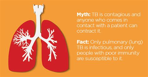 Common Misconceptions About PPD Test