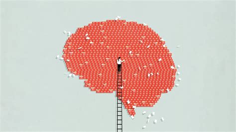 Common Myths and Misconceptions