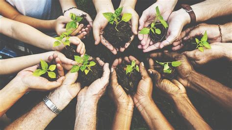 Community and Social Responsibility