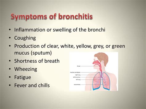 Complications of Bronchitis