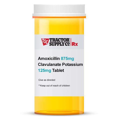 Conclusion and Future Directions for Amox Clav 875 125 Mg