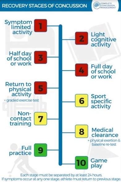 Concussion Recovery Timeline