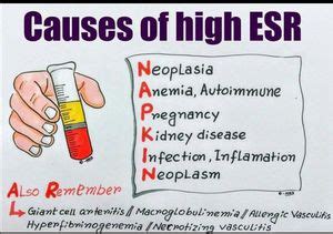 Conditions Associated with High ESR