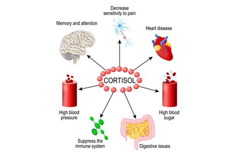 Cortisol Test Benefits