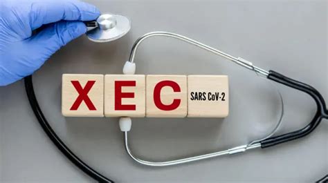 Covid 19 Xec Variant Symptoms
