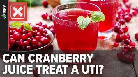 Cranberry Juice Comprehensive UTI Prevention