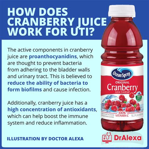 Cranberry Juice Works Against UTI Bacteria