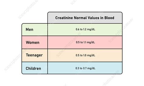 Creatinine and Kidney Disease