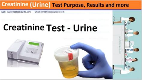 Creatinine and Urine Testing