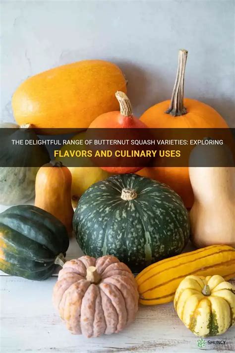 Culinary Uses of Butternut Squash