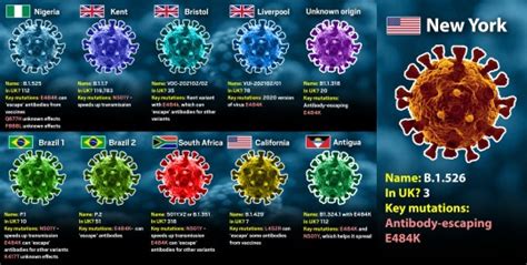 Current Covid Strain Overview