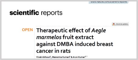 Current Research and Developments