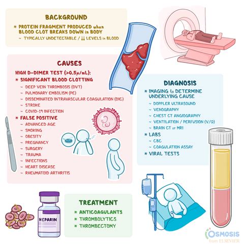D Dimer Test and Other Diagnostic Tests