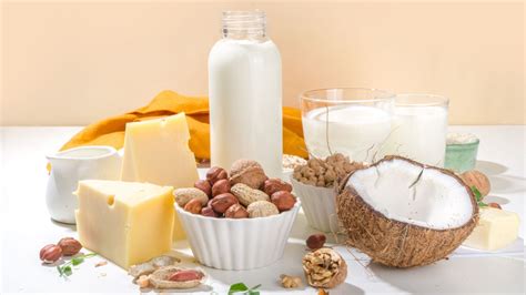 Dairy Products and Alternatives