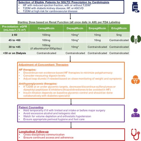 Practical Considerations for Dapagliflozin