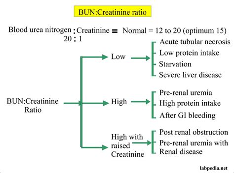 Dehydration and Urea Nitrogen Levels