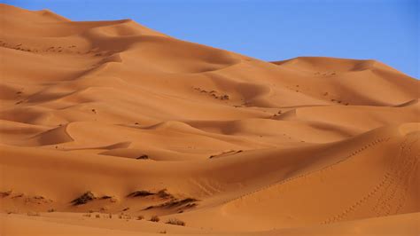 Desert Region
