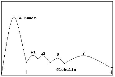 Diagnosing High Alpha Globulin Levels
