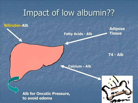 Diagnosing Low Albumin Levels