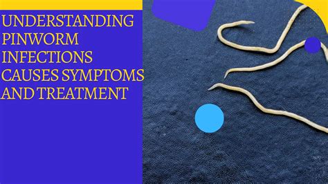 Diagnosing Pinworm Infections
