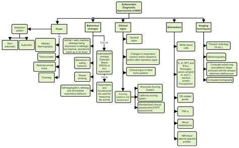 Diagnosing the Cause