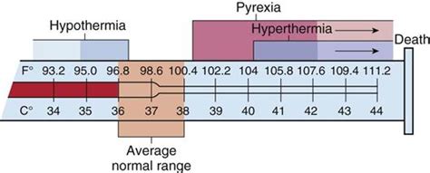 Diagnosis and Treatment of Abnormal Body Temperature