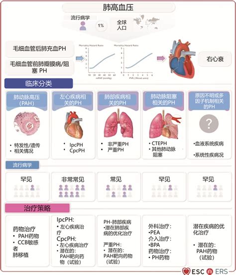Diagnosis and Treatment