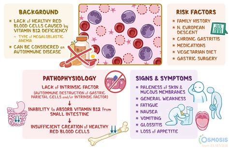 Diagnosis and Treatment of B12 Deficiency Anemia