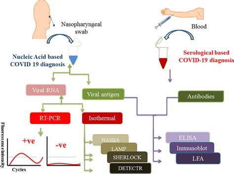 Diagnostic Approaches for COVID-19 Strains