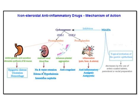 Diclofenac Sod Mechanism of Action