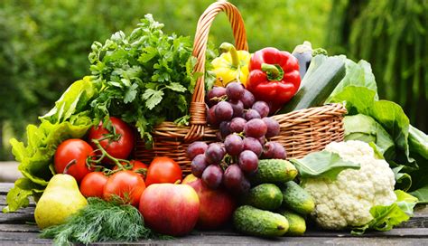 Diet and Nutrition for HPV Warts