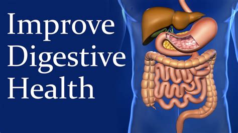 Digestive Health