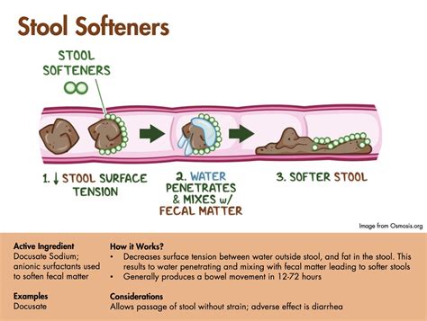 Docusate Sodium Working Mechanism