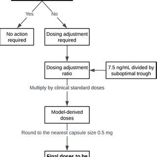 Dosage Adjustments