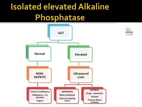 Elevated Alkaline Phosphatase
