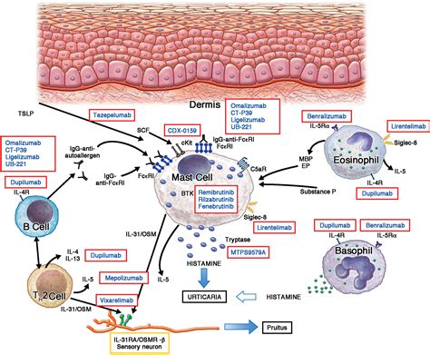 Emerging Treatments