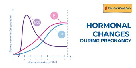 Emotional Changes During Labor