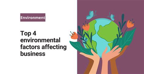 Environmental Factors
