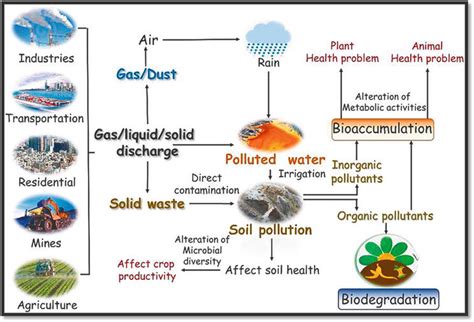 Environmental Impact of Ferrous Sulfate