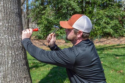 Evaluate Tree Doctor