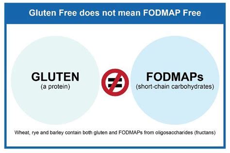 The Science Behind FODMAPs