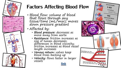 Factors Affecting Blood Health