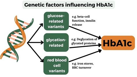 Factors Affecting HbA1c Levels