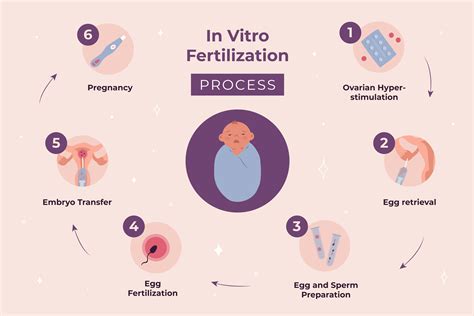 Embarking on a Fertility Journey